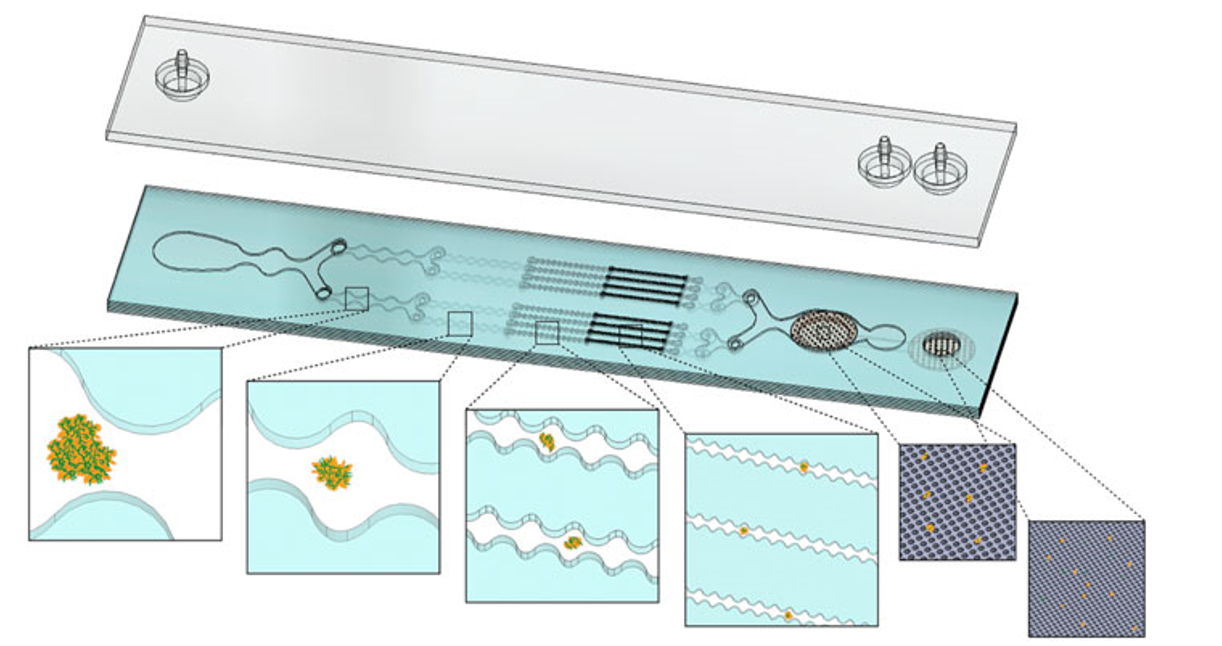 بهینه‌سازی تفکیک مکانیکی بافت با استفاده از یک دستگاه میکروسیال یکپارچه برای بهبود تولید سلول‌های منفرد پس از هضم